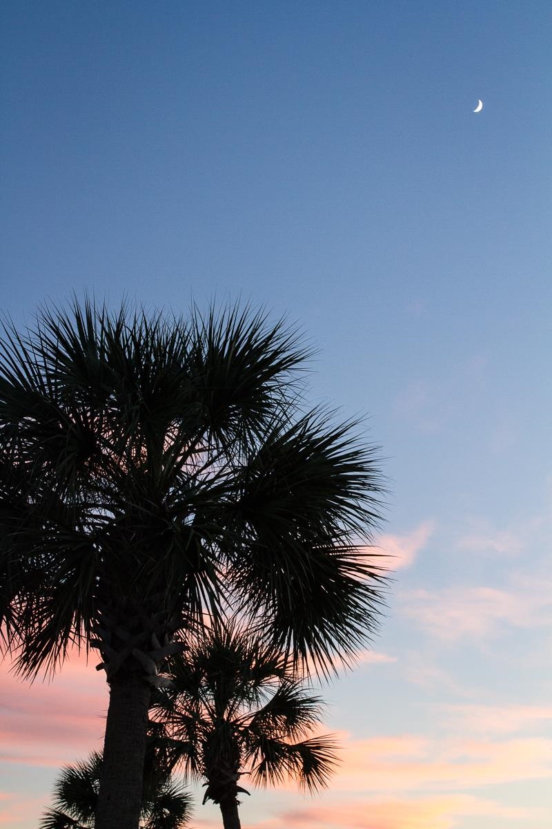 2625010 | Photo 29