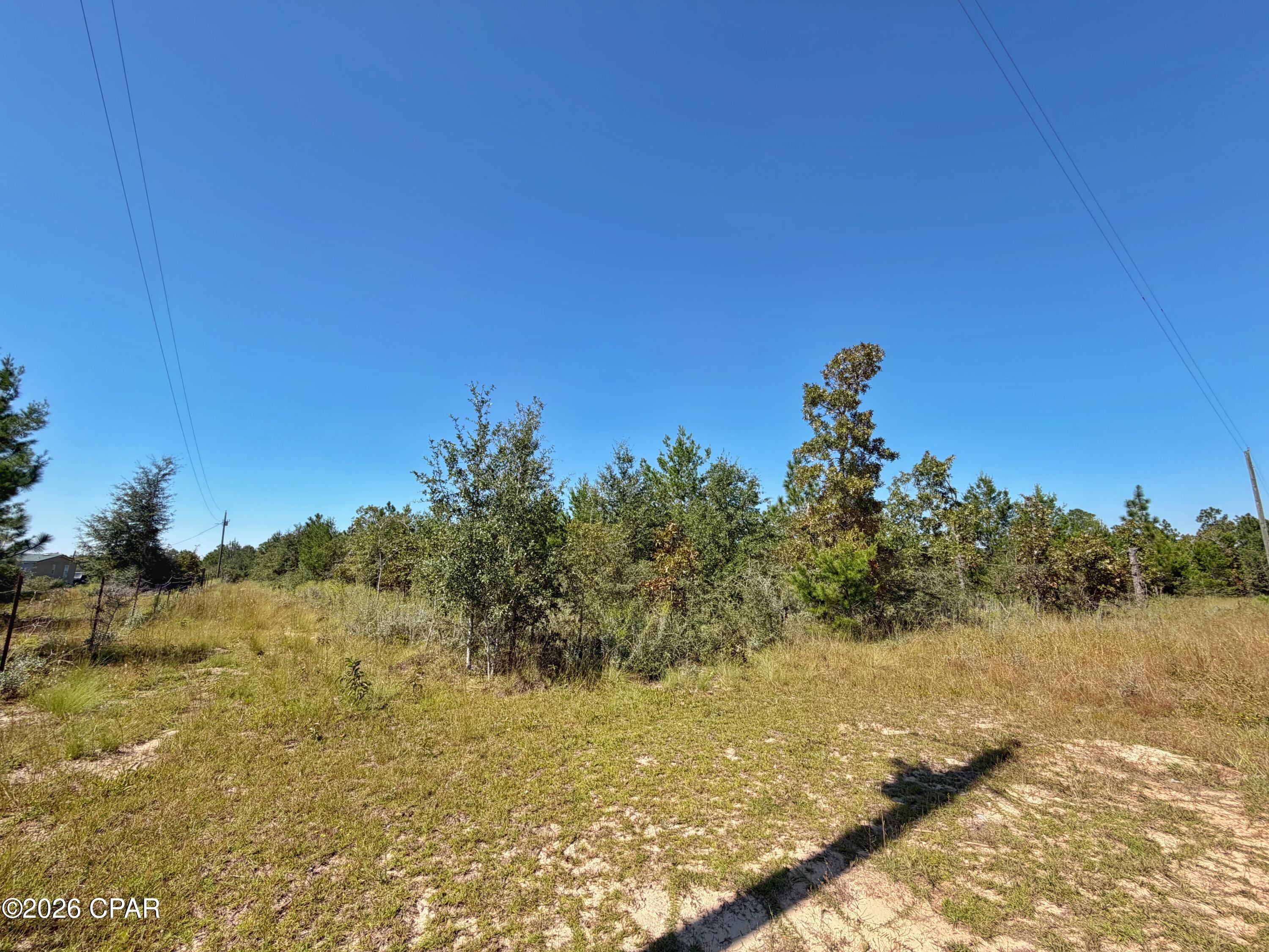 Photo 3 of Land for sale at 121 Petty Rd, Marianna, FL 32448 | MLS# 796484 | Listing updated on 2026-10-12