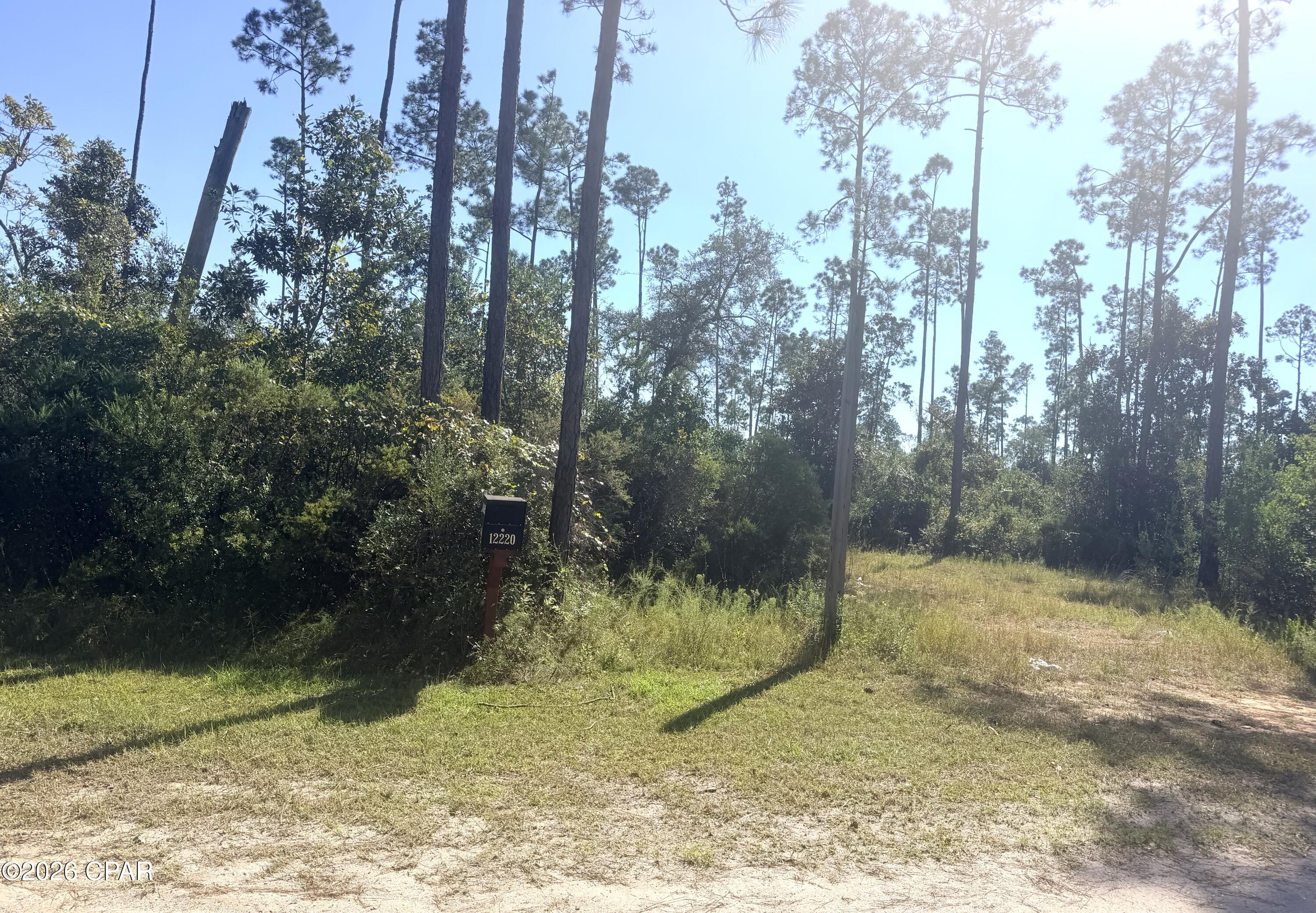 Photo 2 of Land for sale at 12220 Caruso Dr, Panama City, FL 32404 | MLS# 796561 | Listing updated on 2026-10-21
