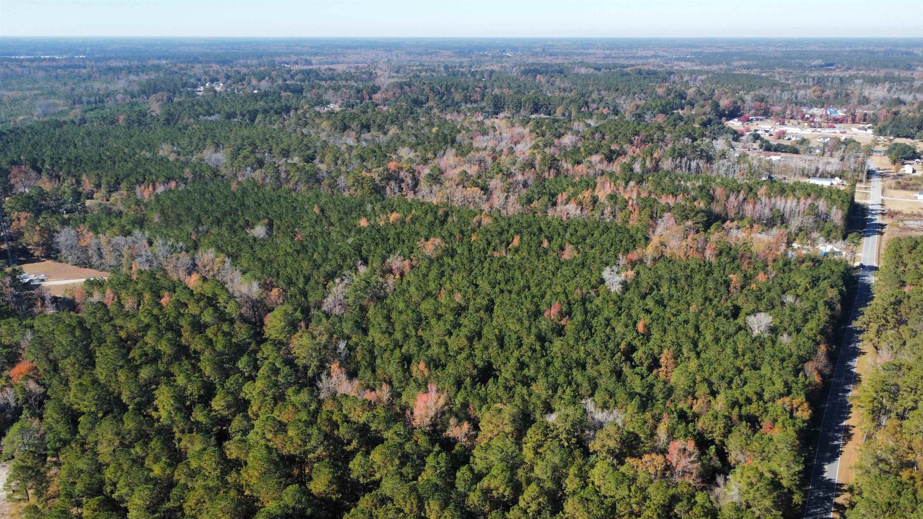 Photo 3 of Sale Pending at Tbd Berley Mc Rd, Conway, SC 29526 | MLS# 2625356 | Listing updated on 2026-10-16