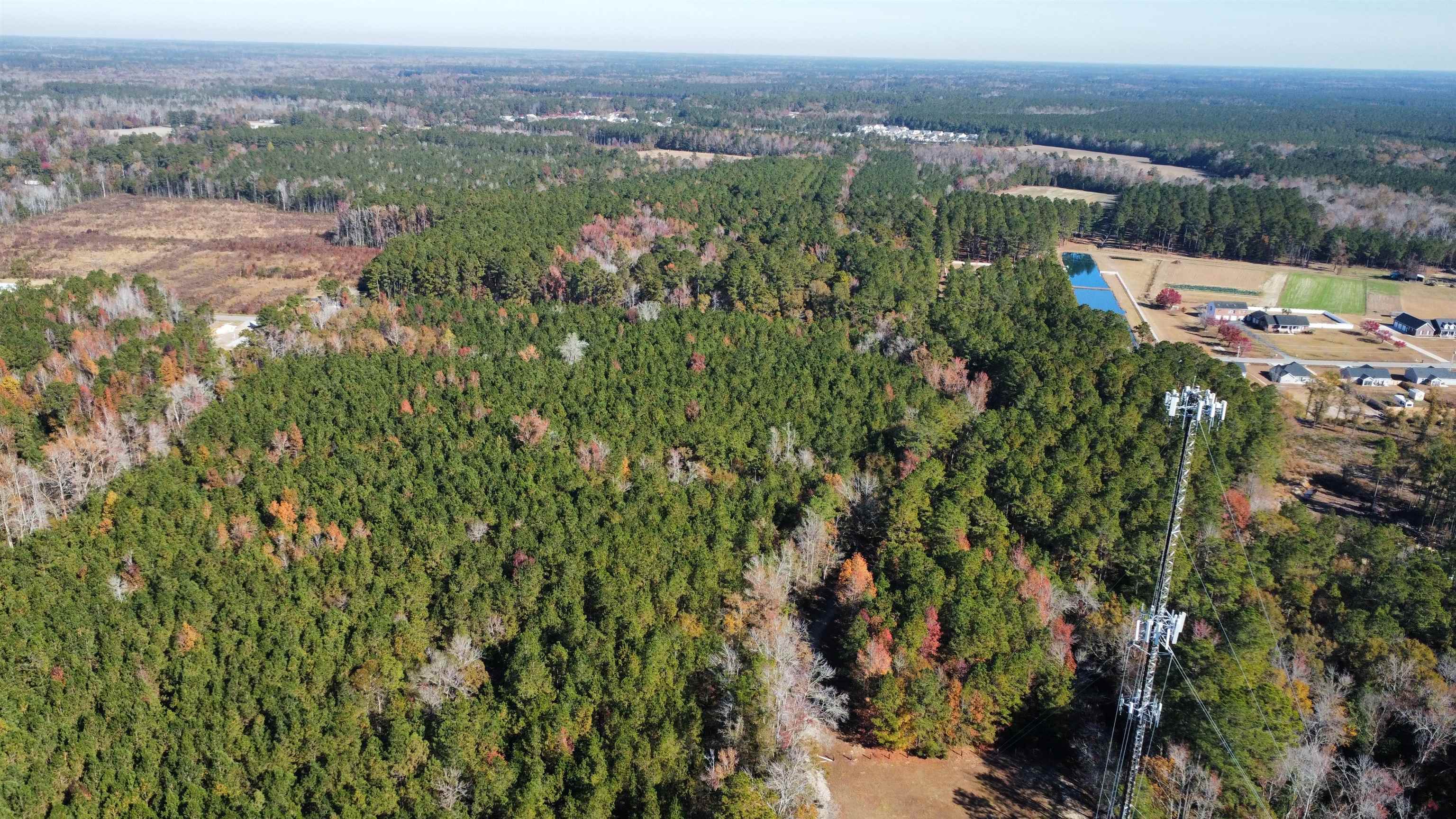 Photo 3 of Sale Pending at Tbd Berley Mc Rd, Conway, SC 29526 | MLS# 2625356 | Listing updated on 2026-10-16