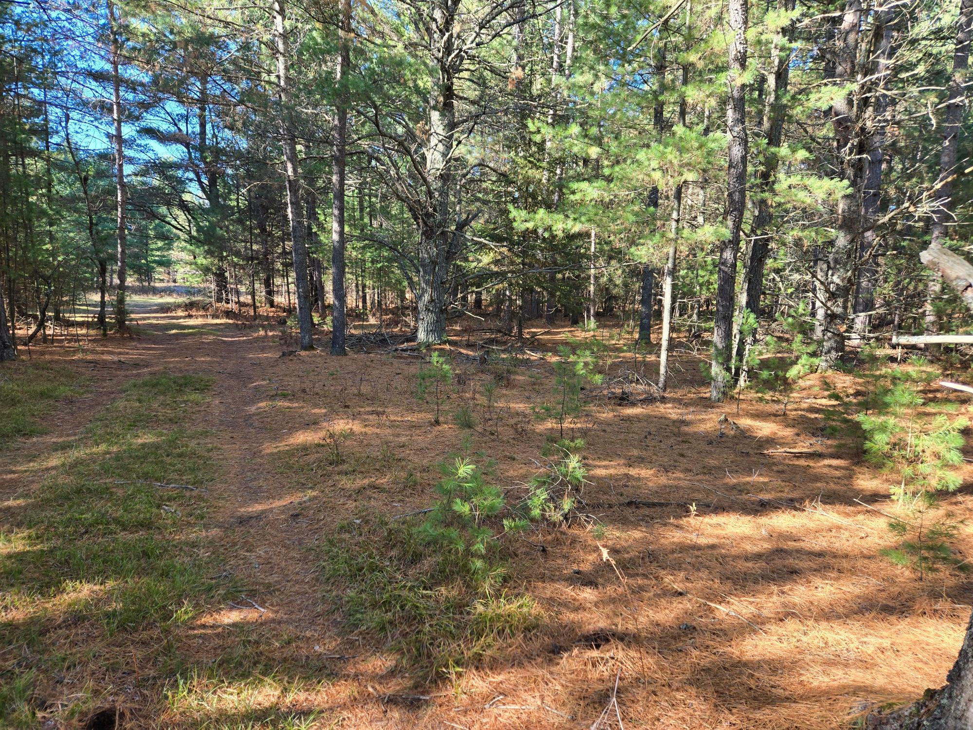 River Property Property Lot 5 Eagle Flight Trl Photo 21