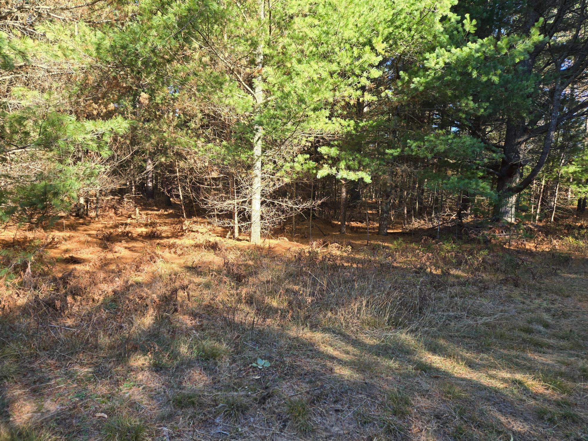 River Property Property Lot 6 Eagle Flight Trl Photo 16