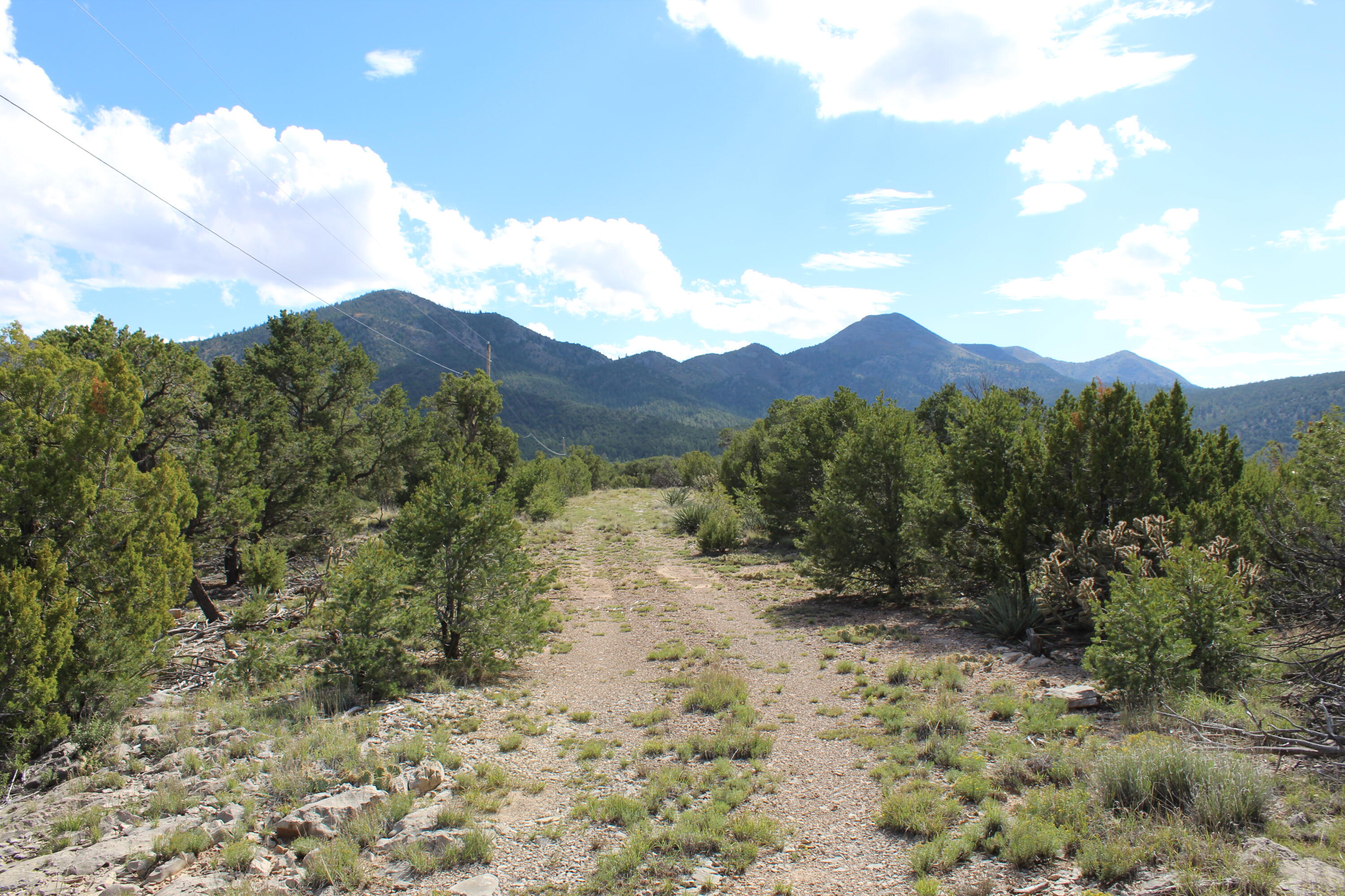 Photo 3 of Land for sale at 0 Ranchitos Rd, Sandia Park, NM 87047 | MLS# 1112711 | Listing updated on 2026-10-19