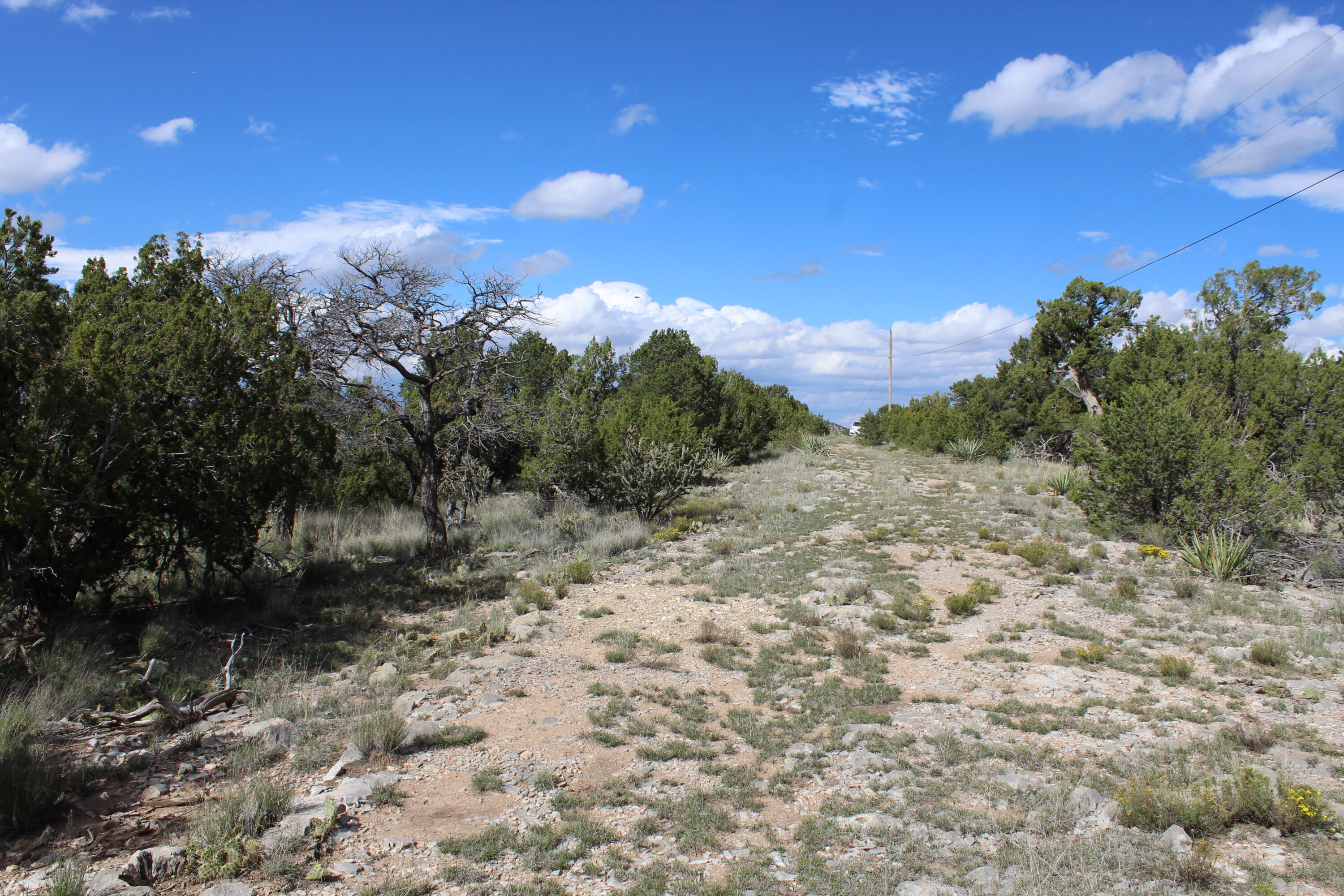 Photo 4 of Land for sale at 0 Ranchitos Rd, Sandia Park, NM 87047 | MLS# 1112711 | Listing updated on 2026-10-19