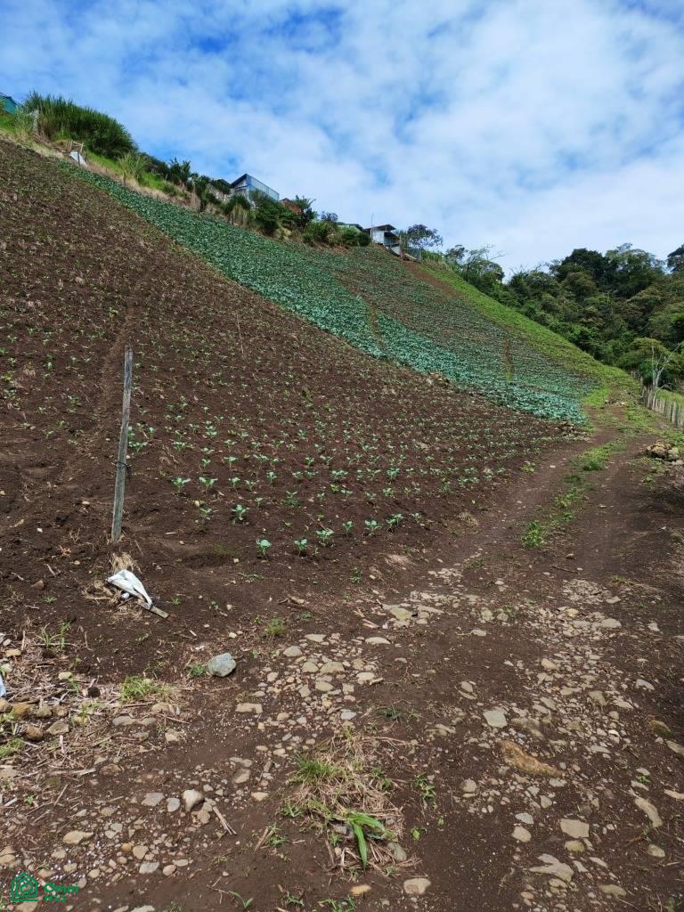 0 bed Land For Sale in , Cartago - 1