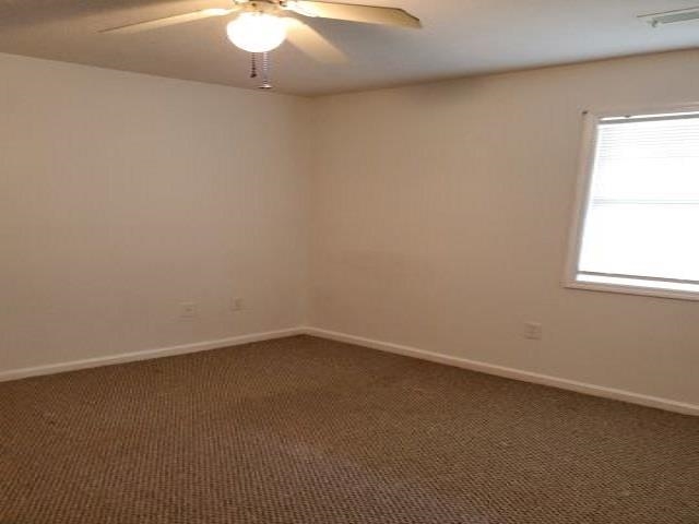 2625601 | Photo 9
