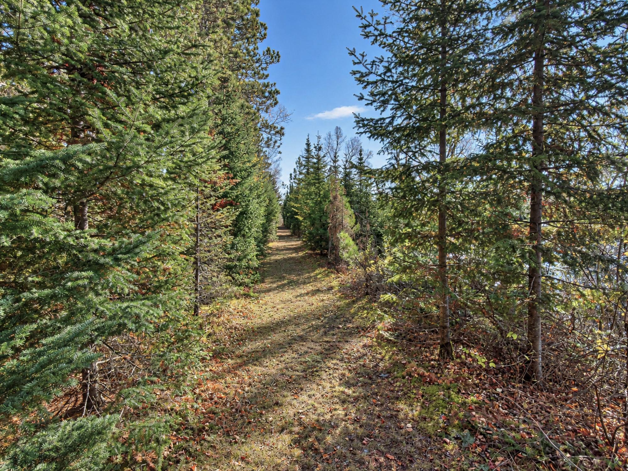 River Property Property 8094 Frontier Rd Photo 32