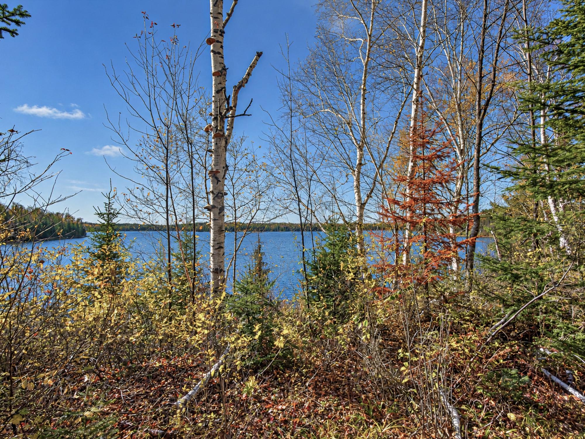 River Property Property 8094 Frontier Rd Photo 34