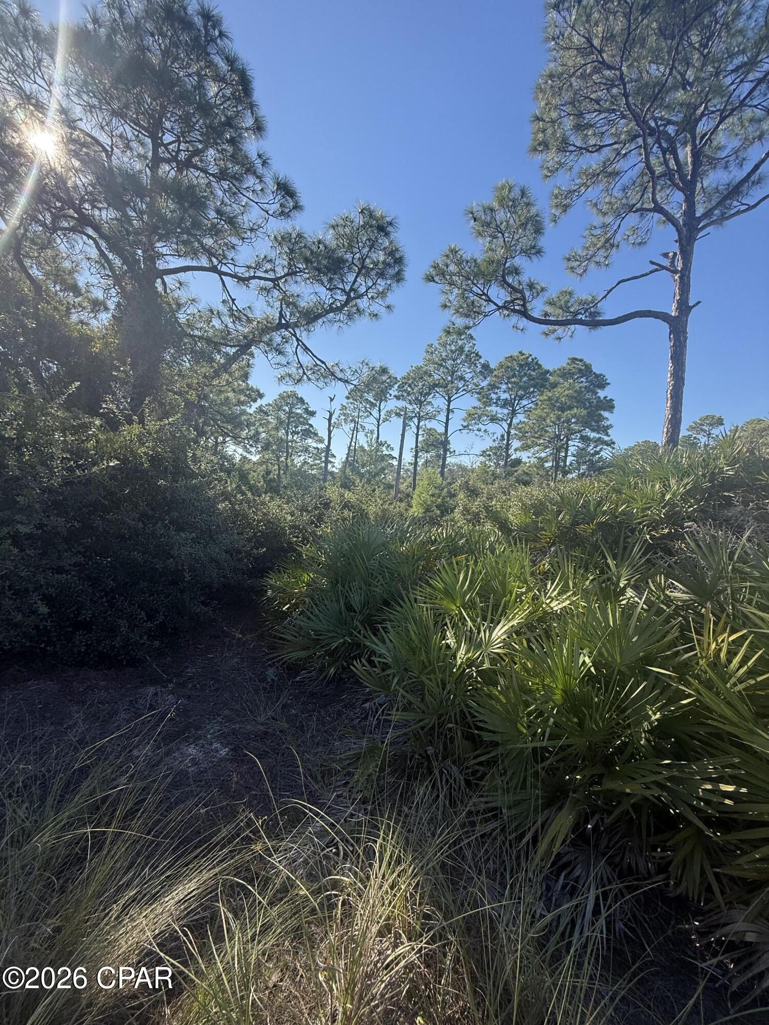 Photo 2 of Land for sale at 393 Cord Grass Way, Port Saint Joe, FL 32456 | MLS# 796957 | Listing updated on 2026-10-27