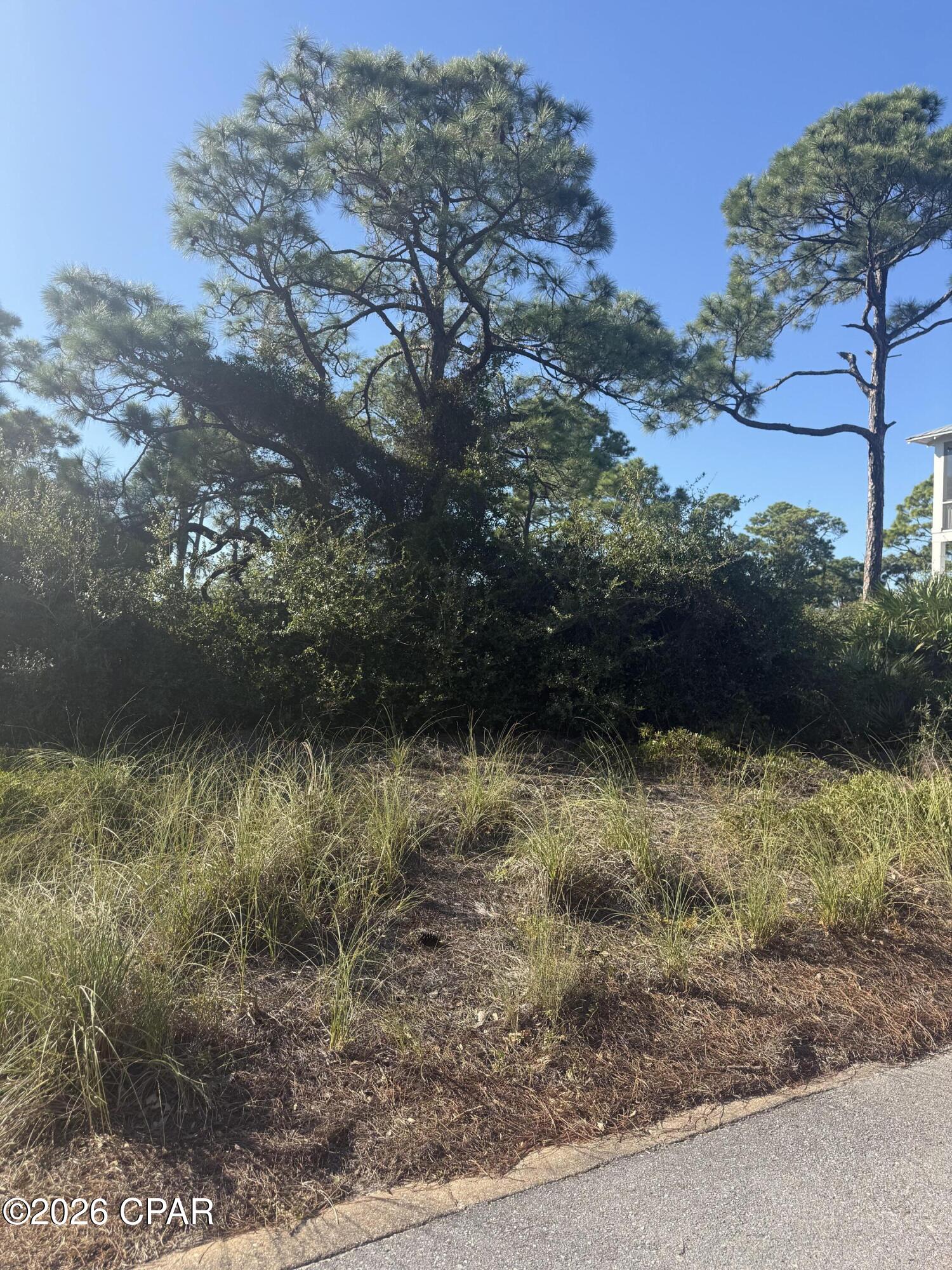 Photo 4 of Land for sale at 393 Cord Grass Way, Port Saint Joe, FL 32456 | MLS# 796957 | Listing updated on 2026-10-27