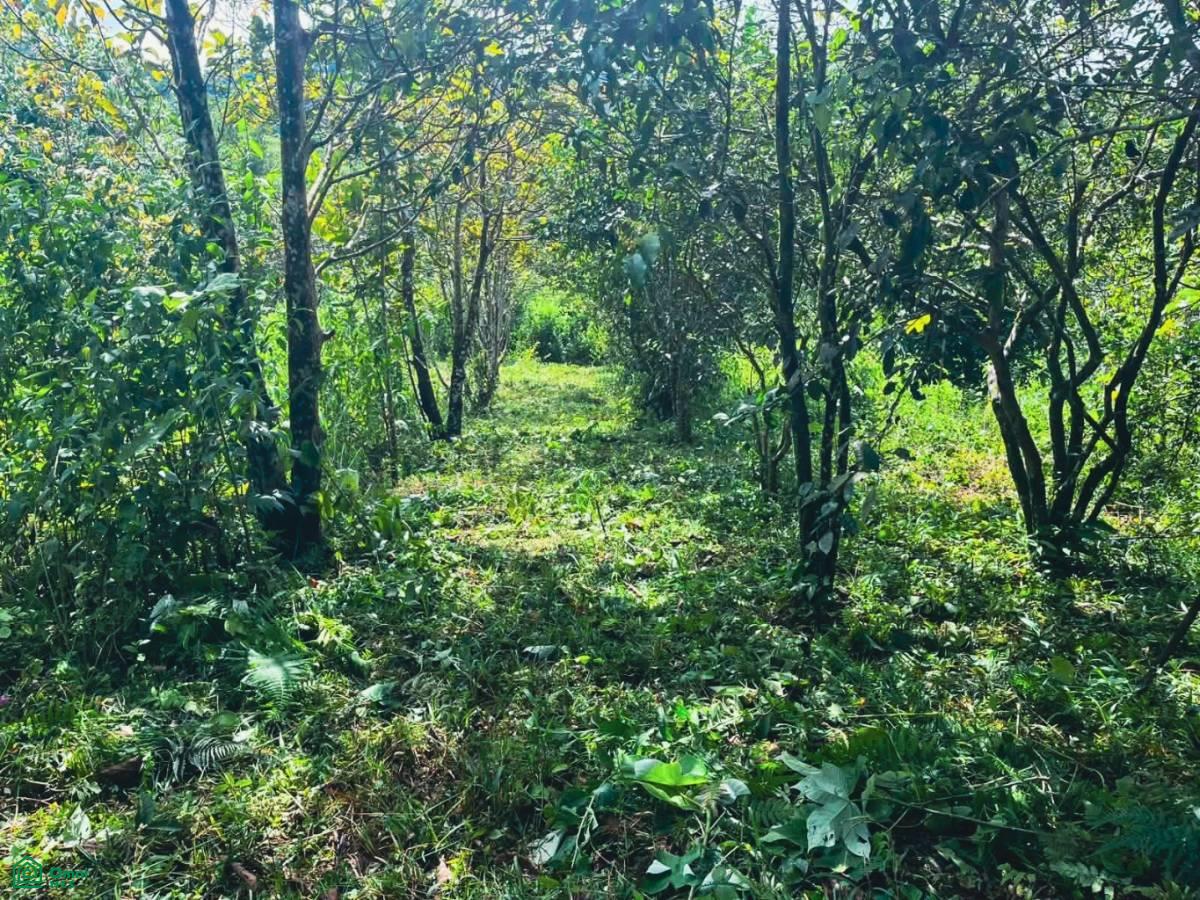 0 bed Land For Sale in , Puntarenas - 1