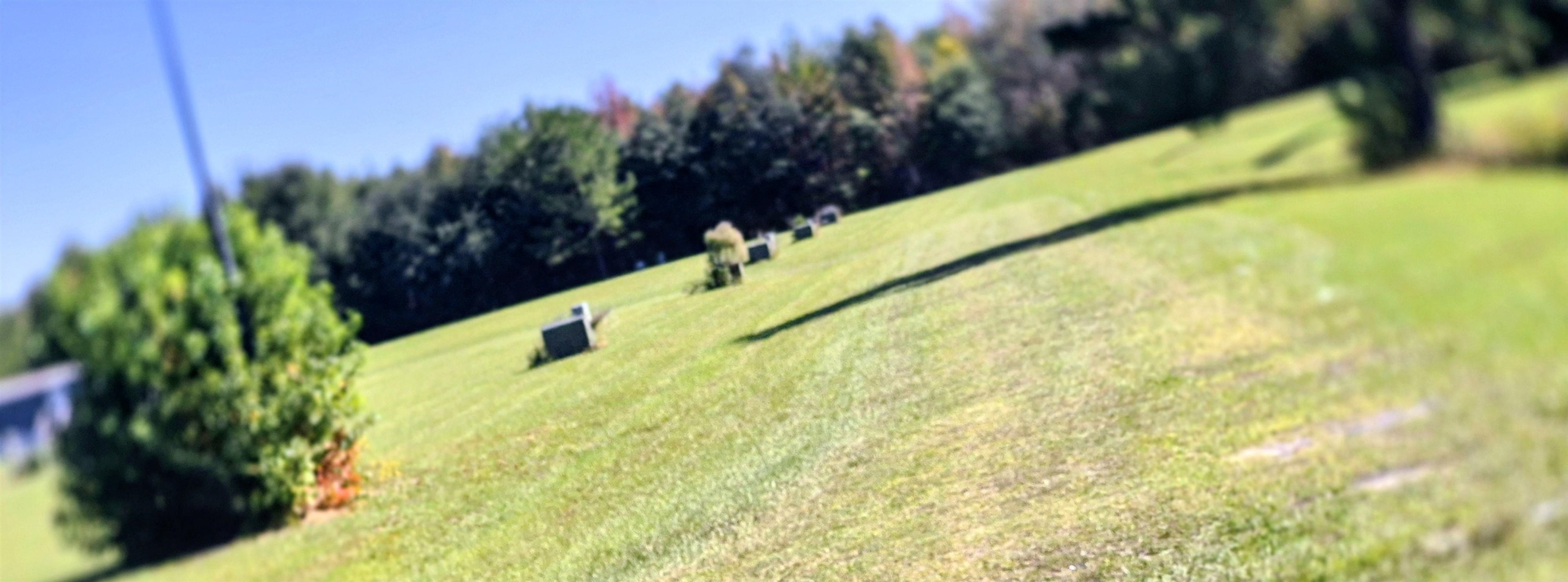 2626121 | Photo 20