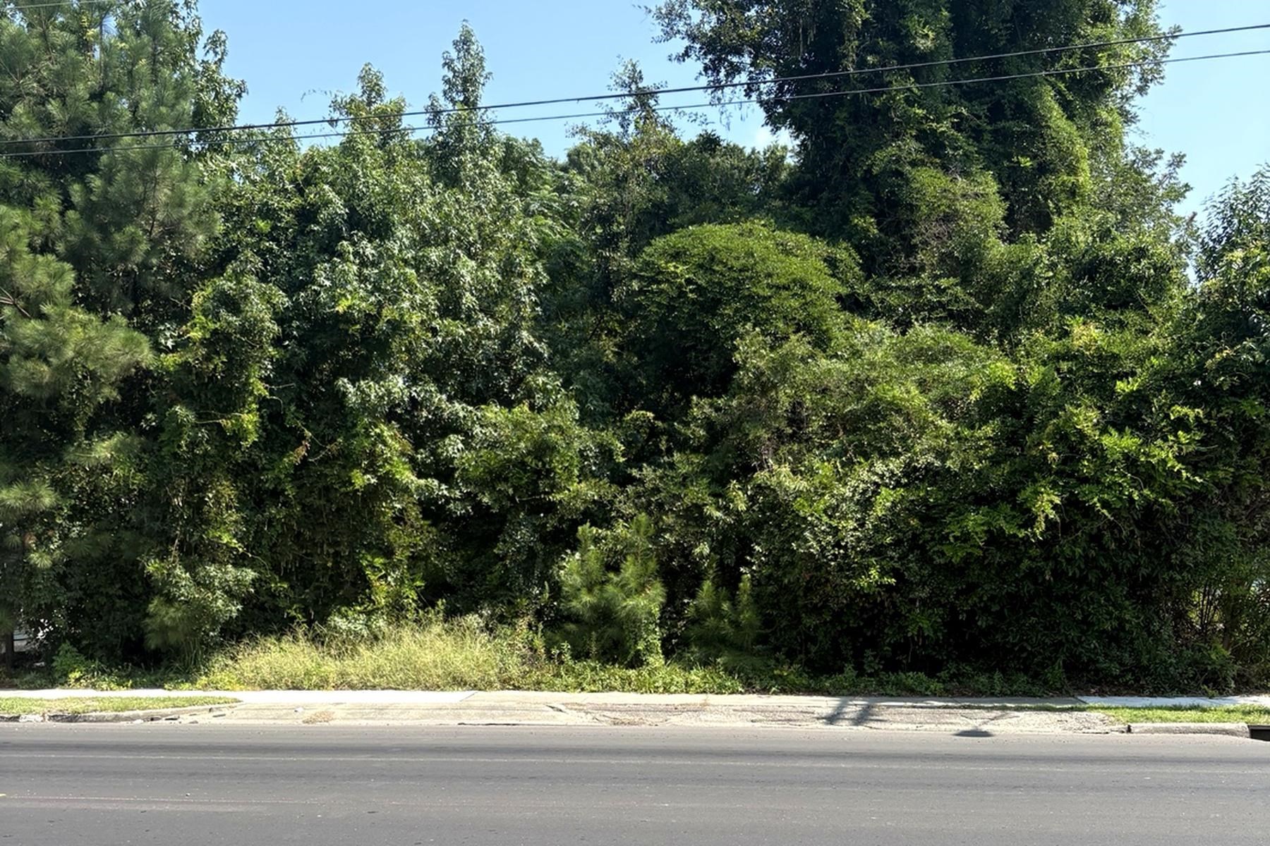 Photo 1 of Land for sale at 3529 Main St, Loris, SC 29569 | MLS# 2626312 | Listing updated on 2026-10-29