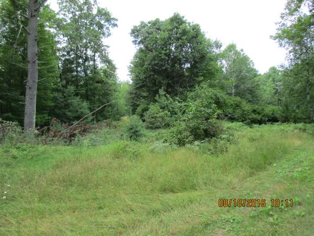 Undocumented Lake Property Off Bolger Lake Rd Photo 1