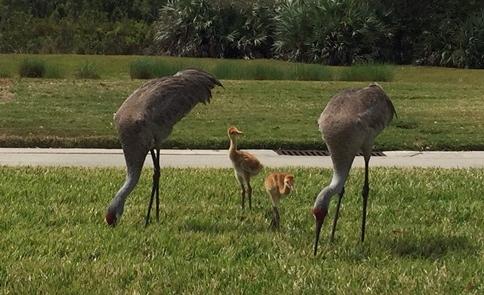 Homes for sale in Port Saint Lucie, FL | 3173 Sw Fambrough Street, Port Saint Lucie, FL 34953 | MLS# R10319549