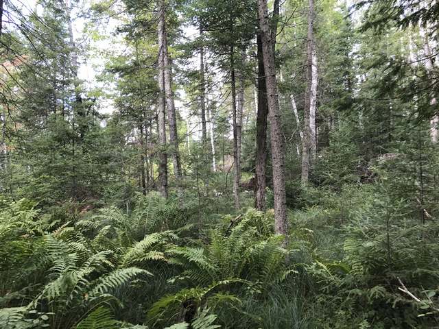 Wildcat Lake Property 6918 Wildcat Rd Photo 1