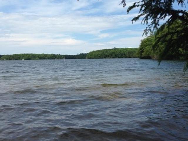Presque Isle Lake Property ON Ormes Rd Photo 1