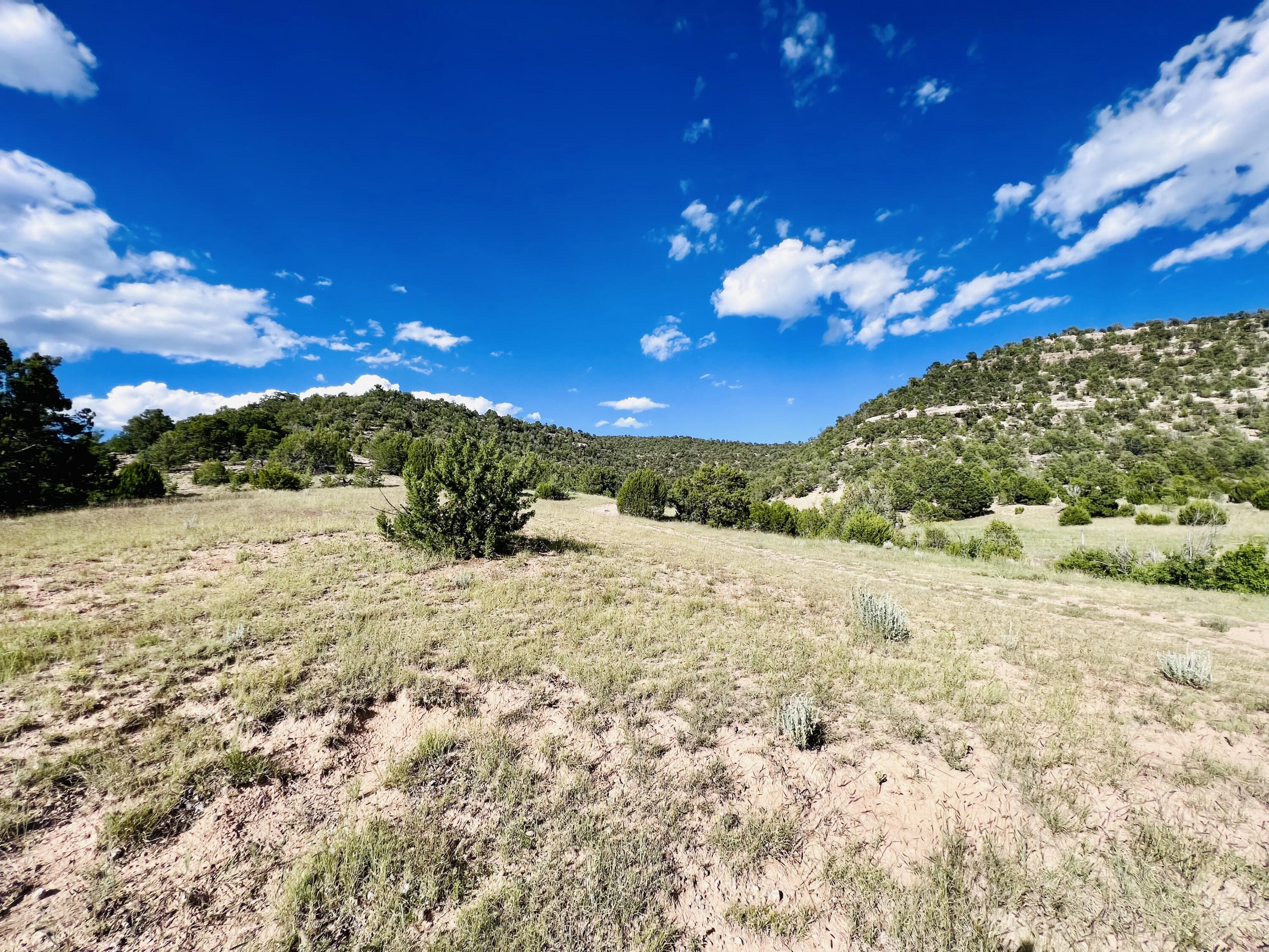 Photo 2 of Sale Pending at 642 Co Rd B43b, Ilfeld, NM 87538 | MLS# 939320 | Listing updated on 2026-09-09