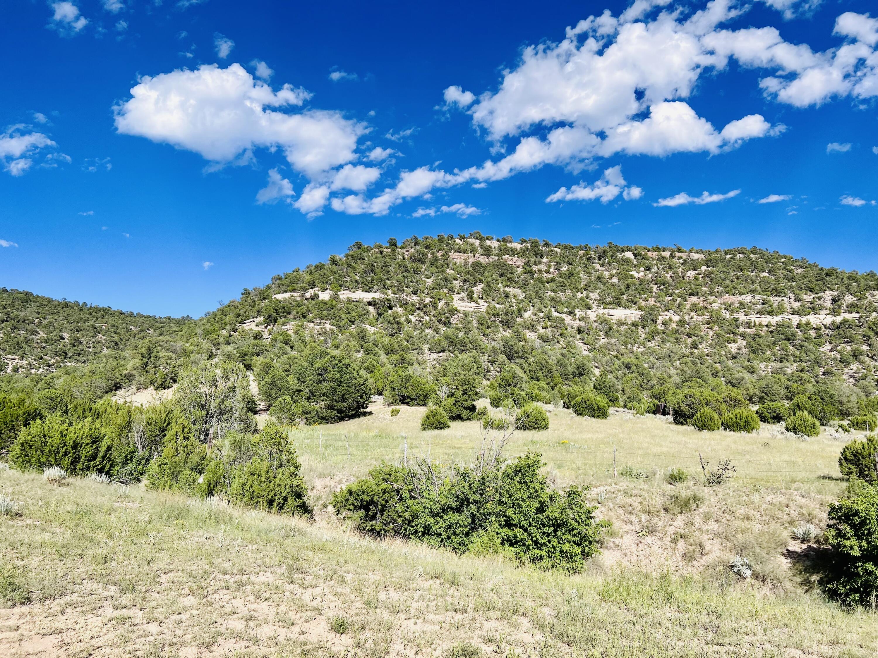 Photo 3 of Sale Pending at 642 Co Rd B43B, Ilfeld, NM 87538 | MLS# 939320 | Listing updated on 2026-09-09