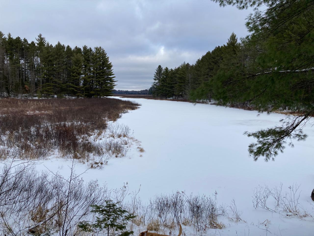 Undocumented Lake Property 1034 Turner Lake Rd E Photo 1