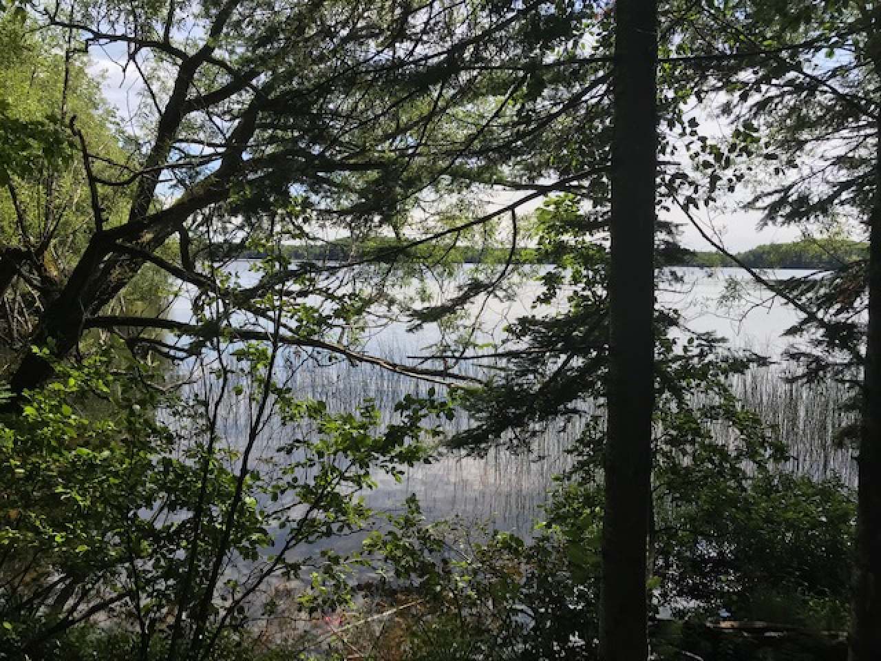 Horsehead Lake Property 11427B Cth B Photo 1