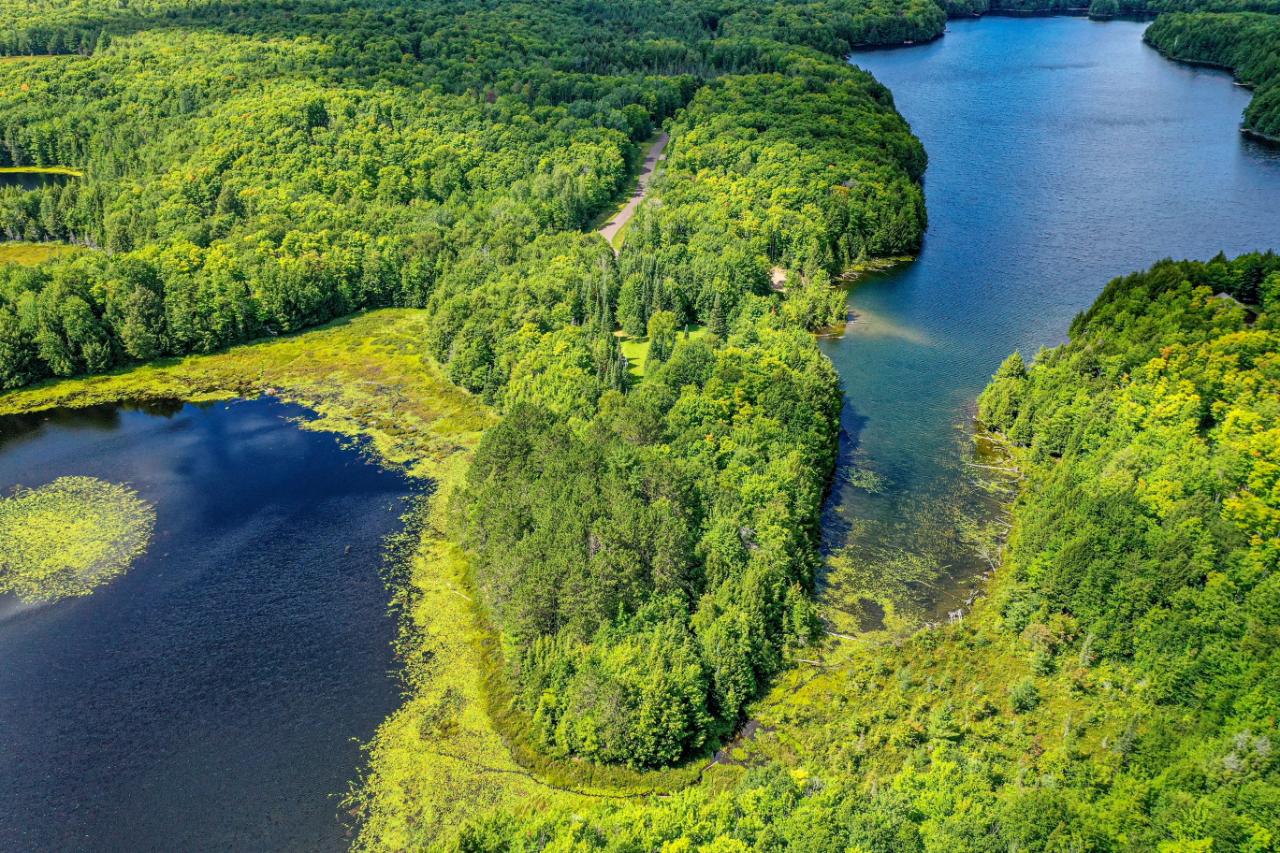 Undocumented Lake Property Lot 36 Hewitt Lake Rd Photo 1