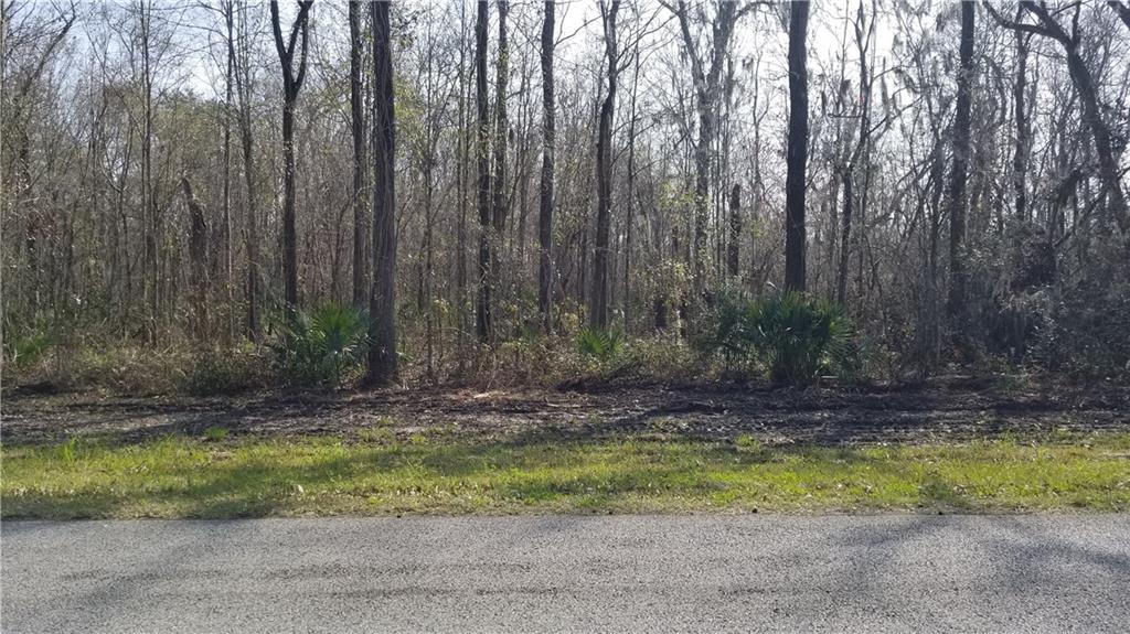 Homes for sale in Hahnville, LA | South Fashion Blvd, Hahnville, LA 70057 | MLS# 2286535