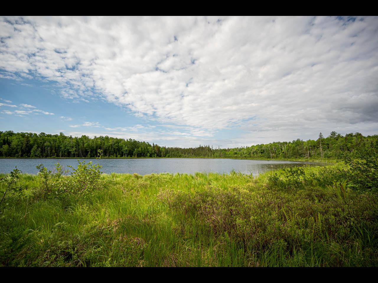 Clearwater Lake Property Lot #5 Kinderhook Tr Photo 1