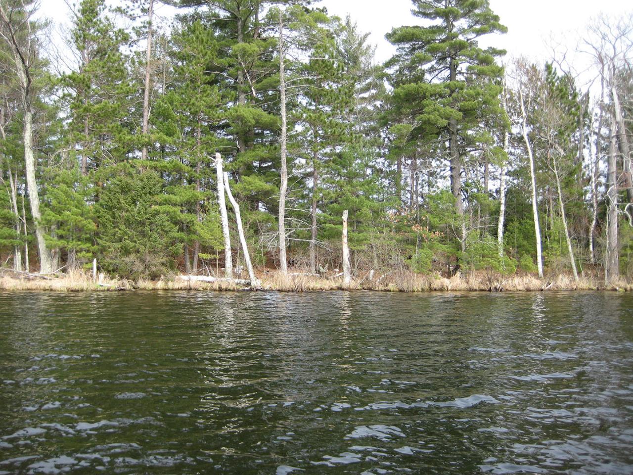 Clearwater Lake Property Lot #64 St Marys Rd Photo 1