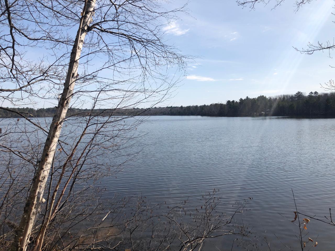 Moss Lake Property .5 ac Point Ln Photo 1