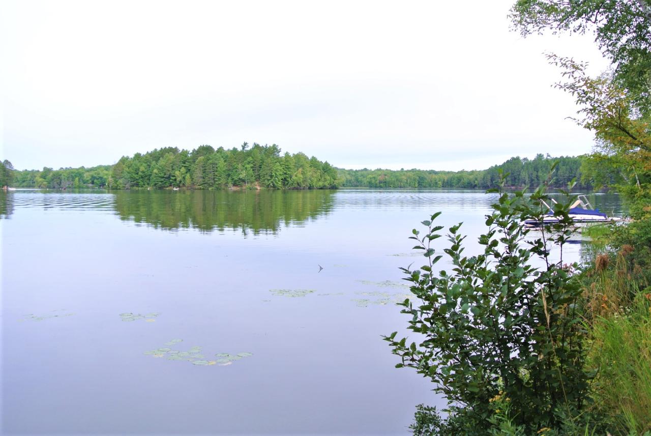 Hancock Lake Property Lot 3 Dombrowski Rd Photo 1