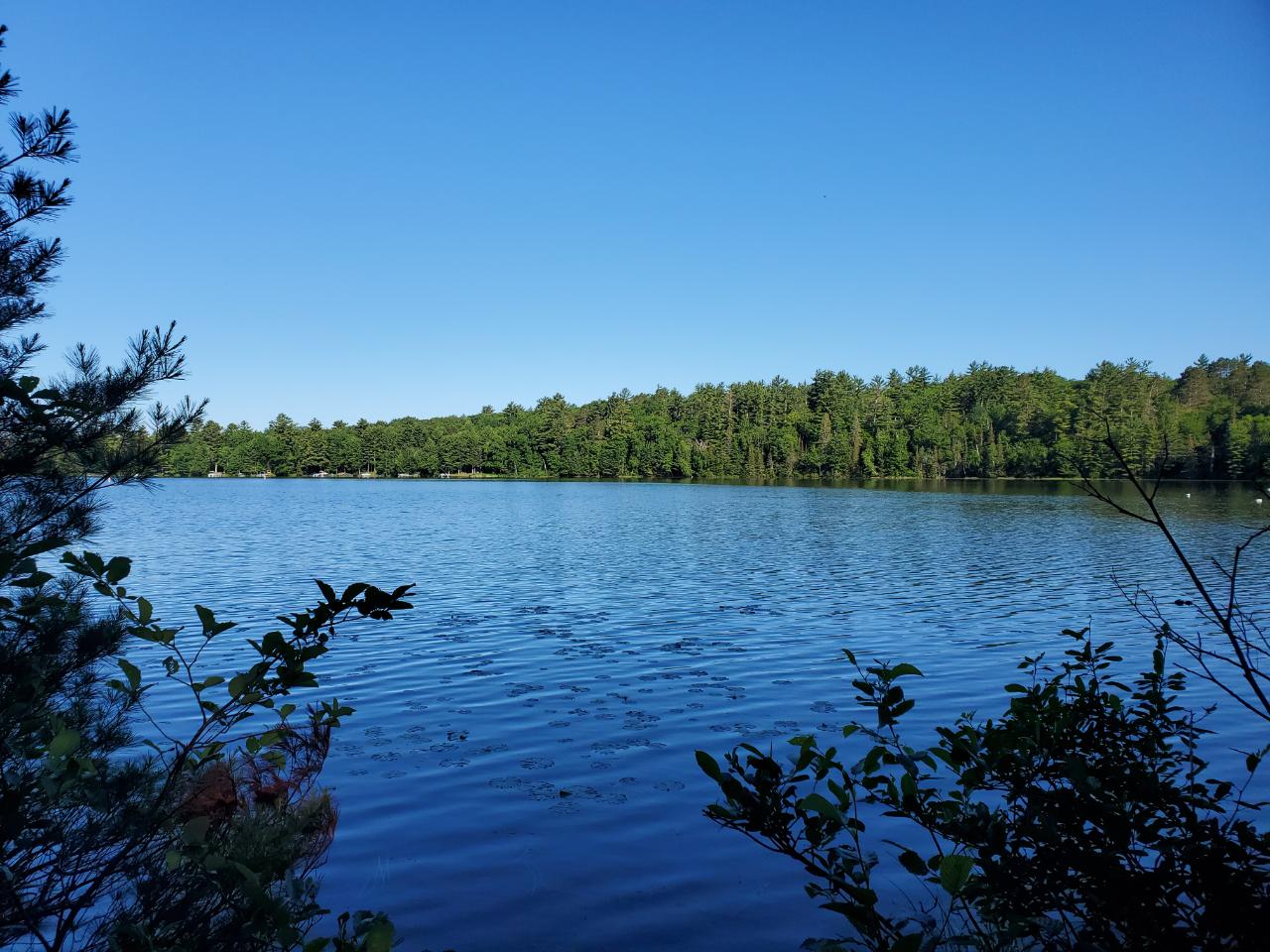 Deerskin Lake Property ON North Star Rd Photo 1
