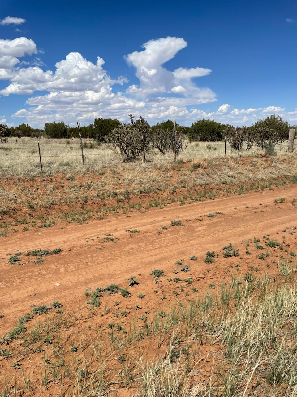 Homes for sale in Manzano, NM | Lots 10 & 1, Manzano, NM 87016 | MLS# 992570