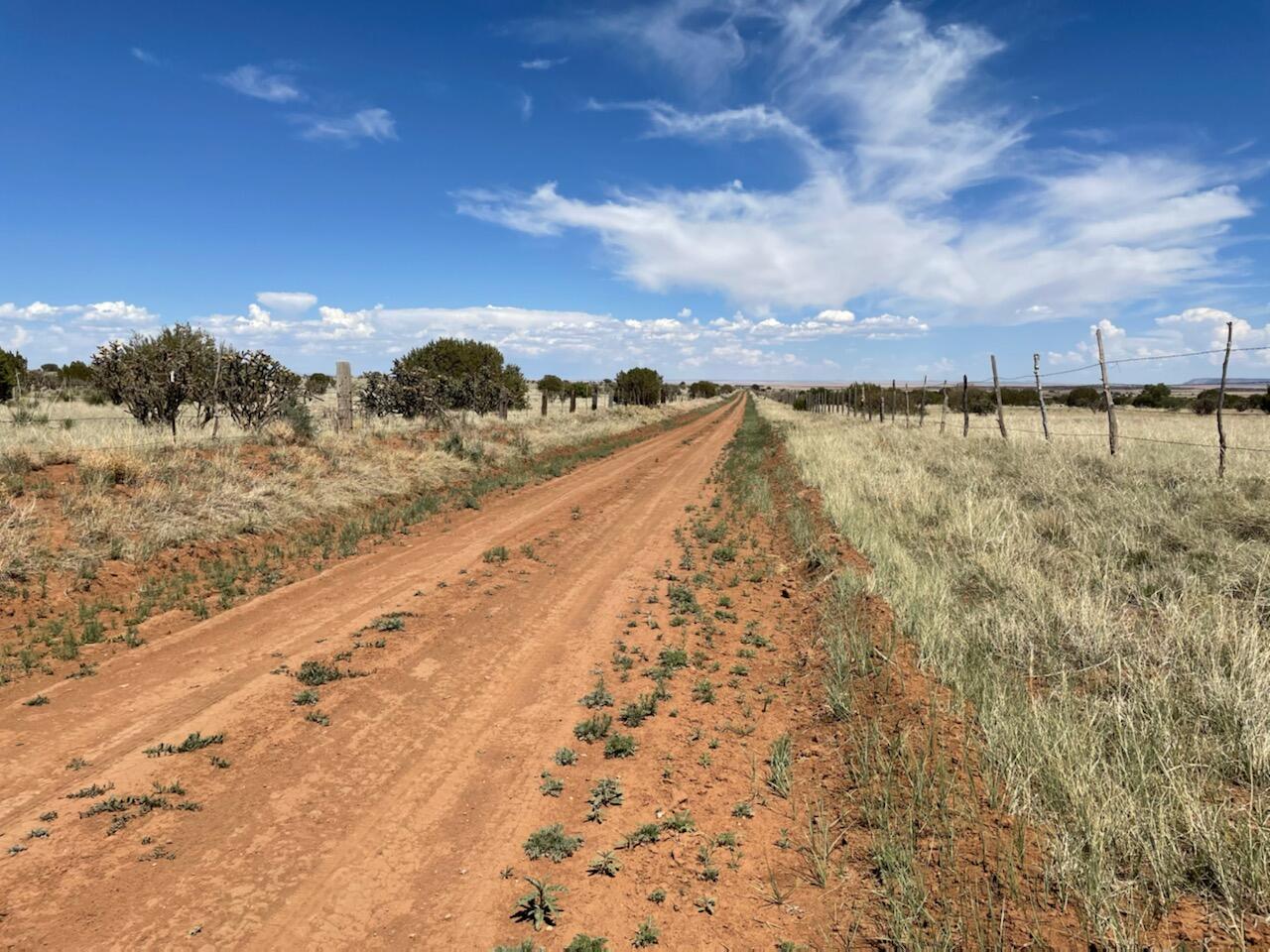 Homes for sale in Manzano, NM | Lots 10 & 1, Manzano, NM 87016 | MLS# 992570