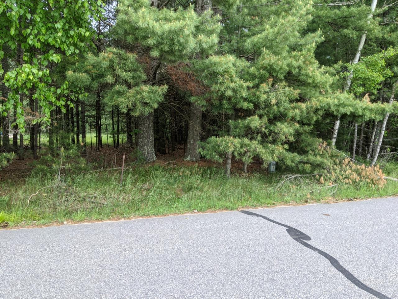 Undocumented Lake Property Lot 2 Airport Rd Photo 1