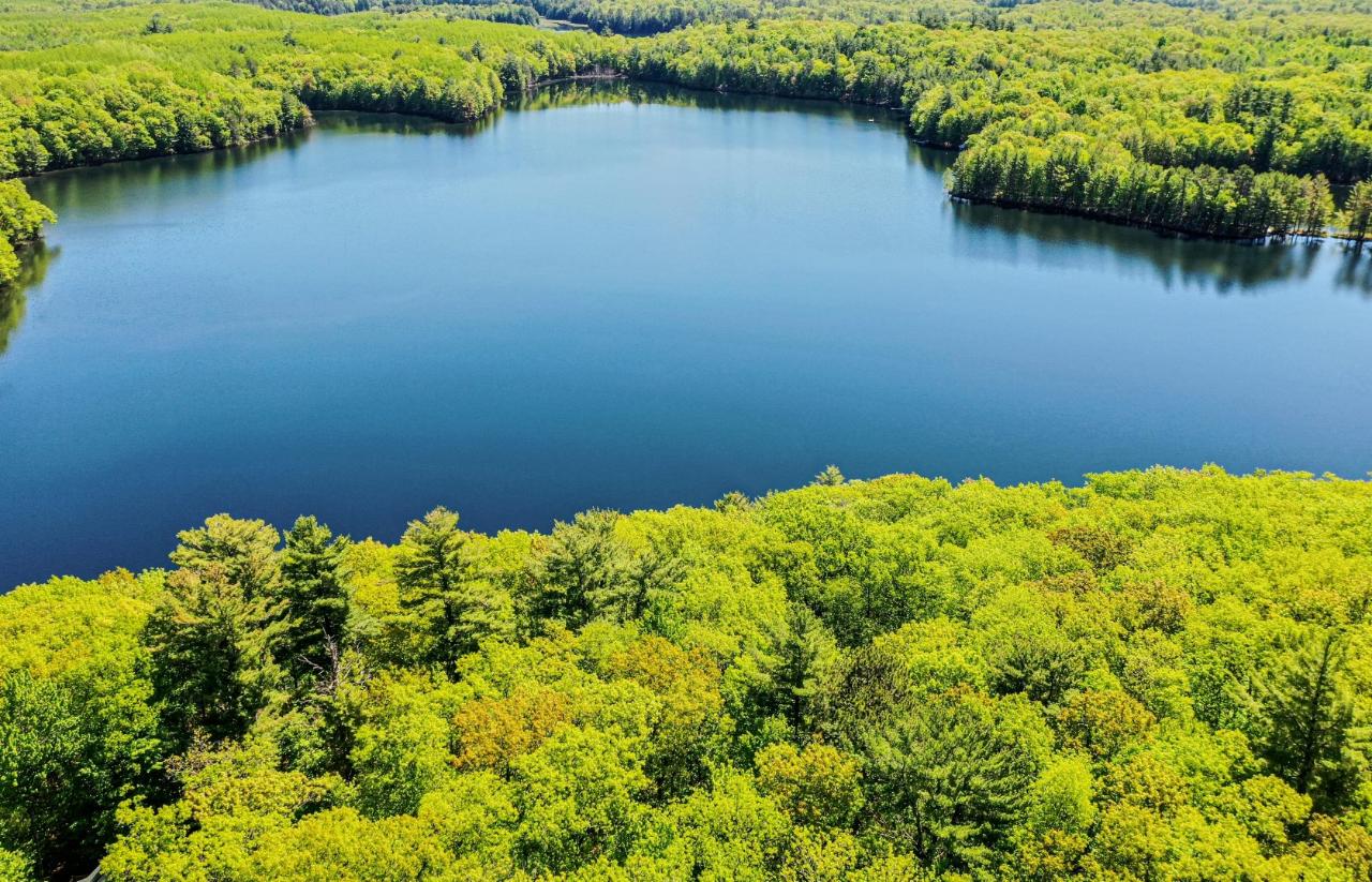 Bird Lake Property ON Wren Rd Photo 1