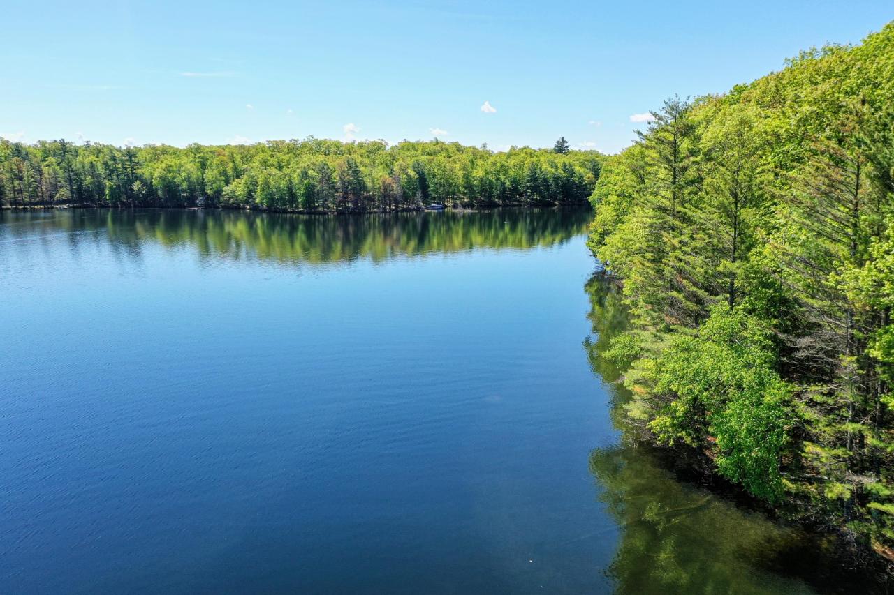 Bird Lake Property ON Wren Rd Photo 1