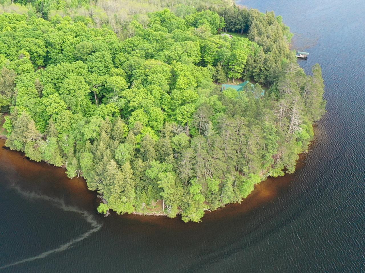 Palmer Lake Property 8221 Trails End Rd Photo 1