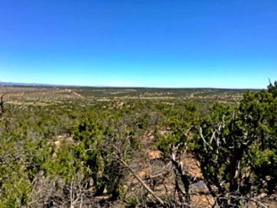 Homes for sale in Mountainair, NM | 1158 Deer Canyon Trl, Mountainair, NM 87036 | MLS# 994528