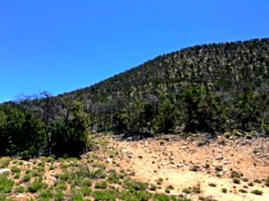 Homes for sale in Mountainair, NM | 1158 Deer Canyon Trl, Mountainair, NM 87036 | MLS# 994528