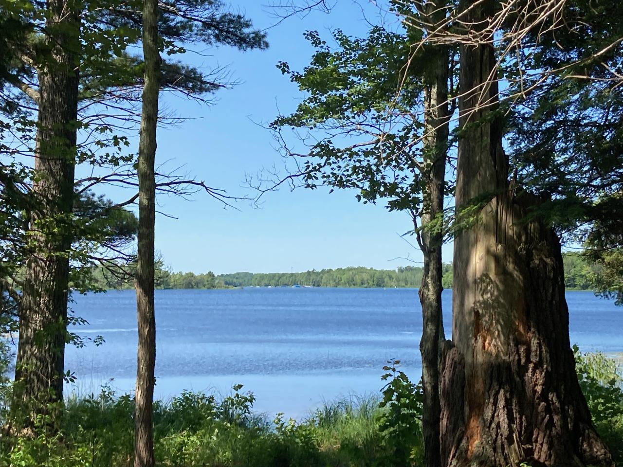 Shishebogama Lake Property 0 Florsheim Rd Photo 1