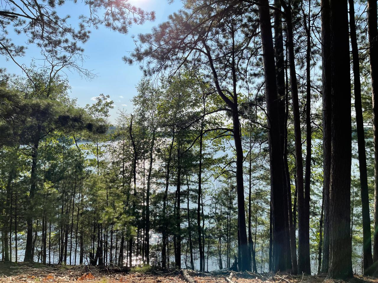 Little St. Germain Property Lot 12 Hill Cr Photo 1