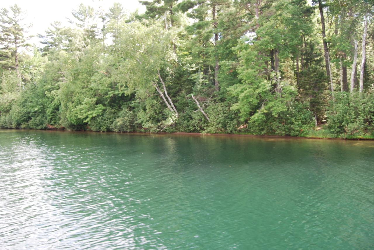 Trout Lake Property Island 1 Bardon Rd Photo 1