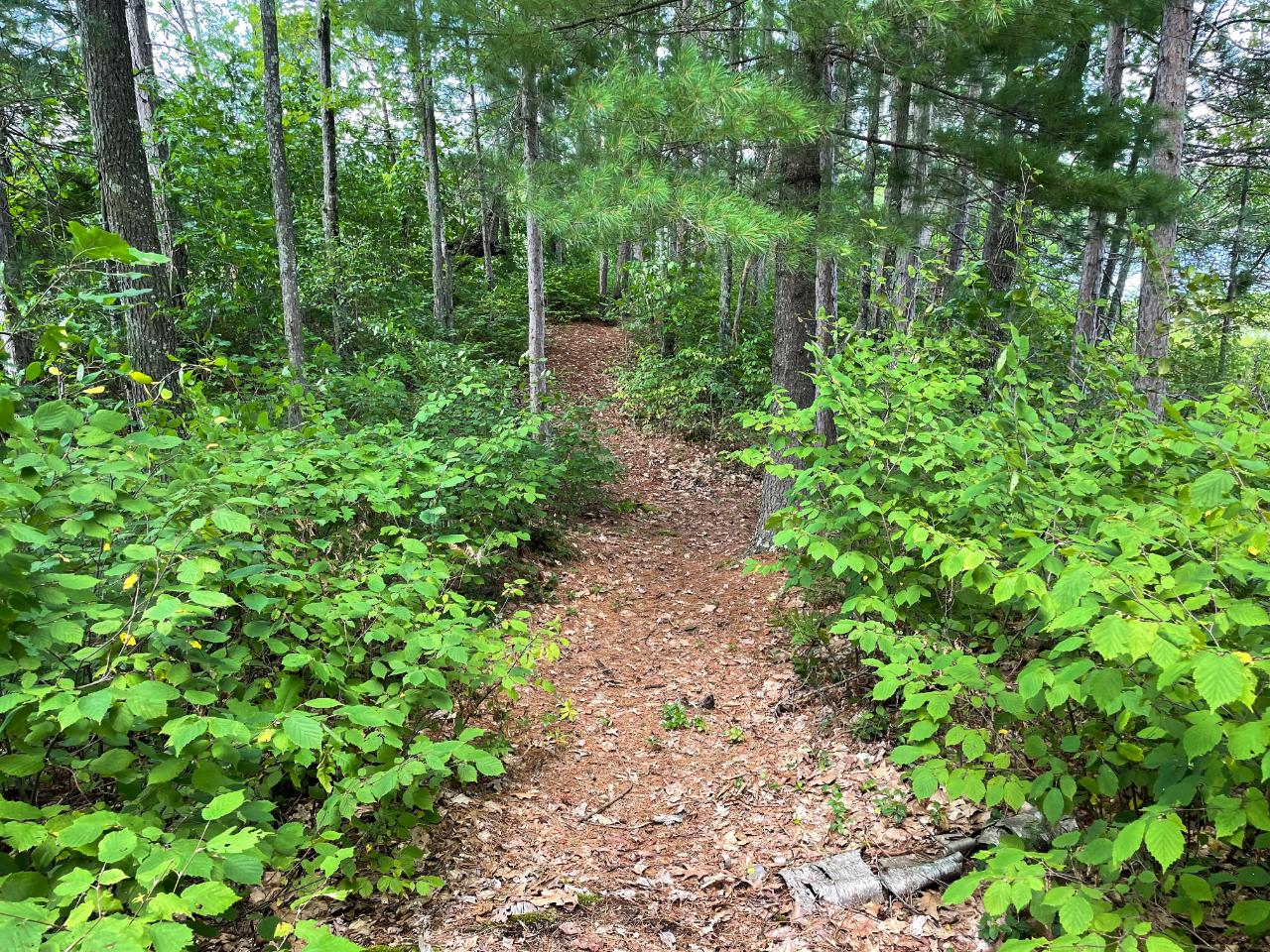 Washburn Lake Property 3263 Washburn Lake Rd Photo 1
