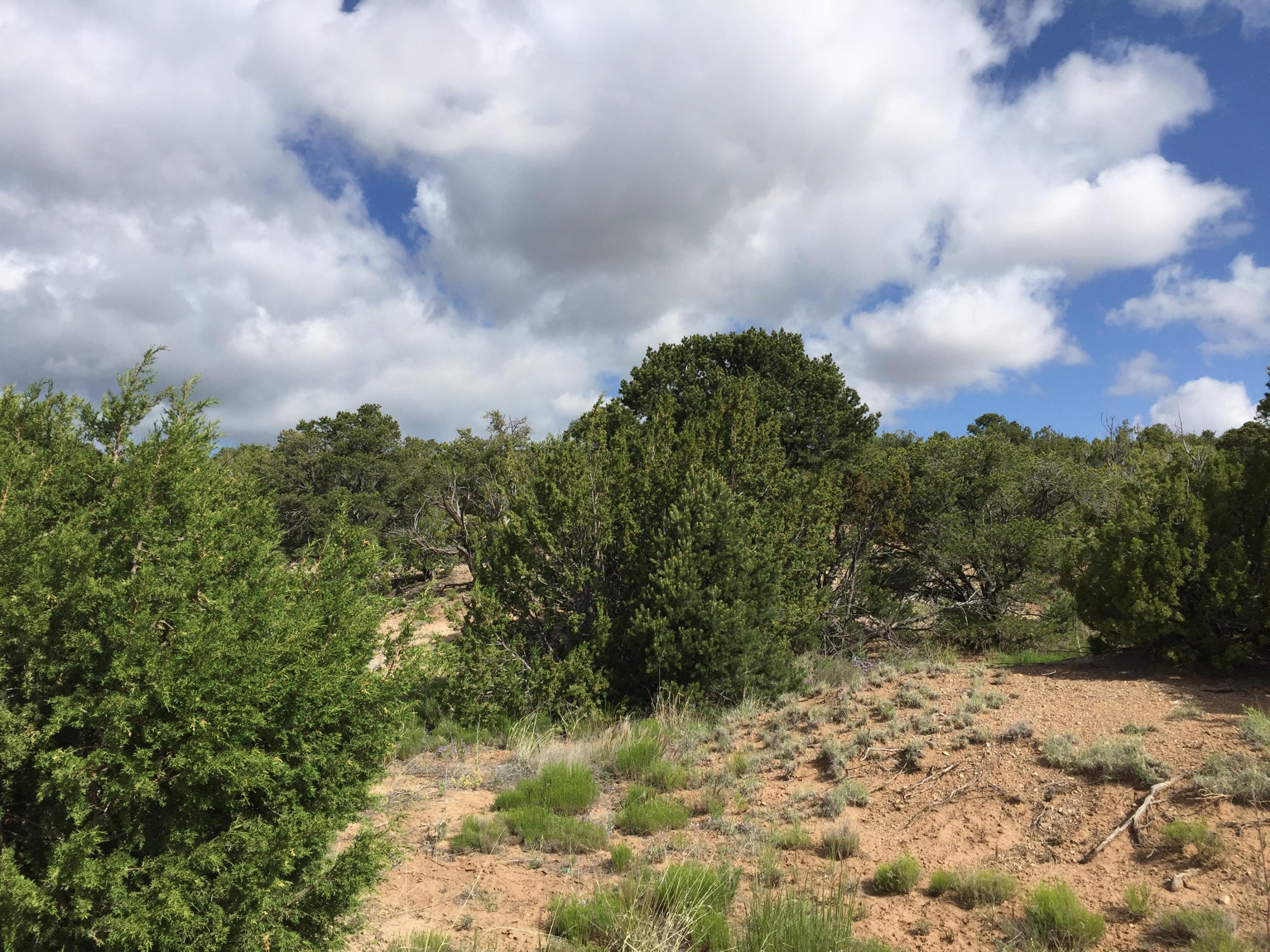Photo 1 of Land for sale at 84 Rain Dance Rd, Sandia Park, NM 87047 | MLS# 1001151 | Listing updated on 2026-10-14