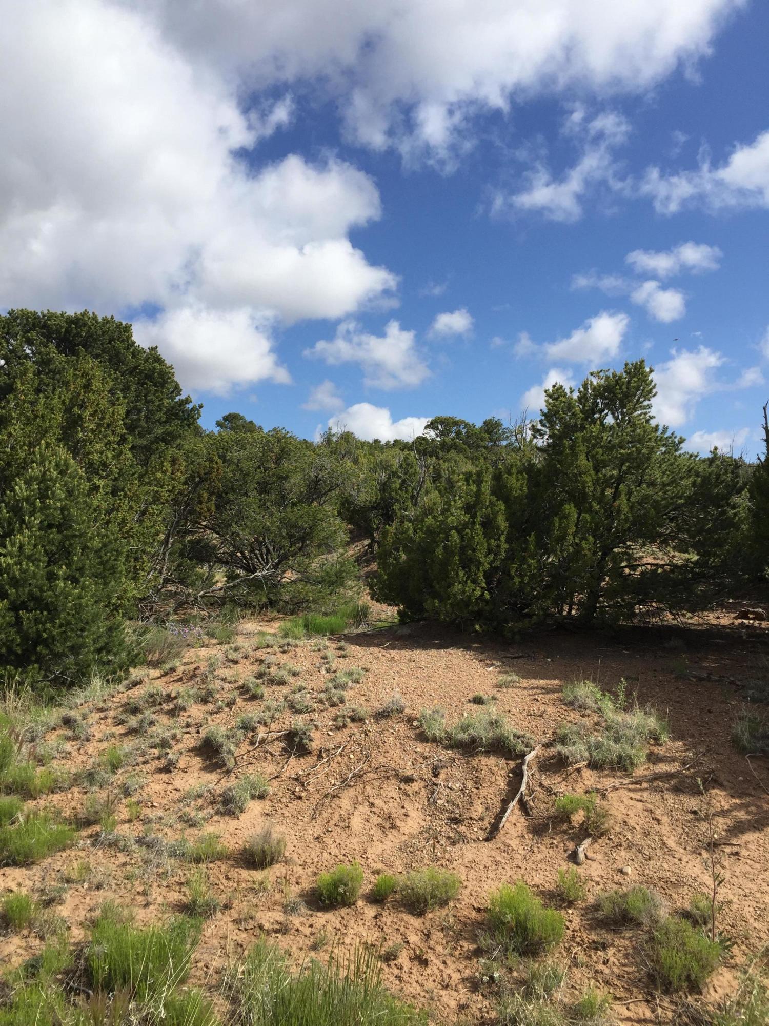 Photo 3 of Land for sale at 84 Rain Dance Rd, Sandia Park, NM 87047 | MLS# 1001151 | Listing updated on 2026-10-14