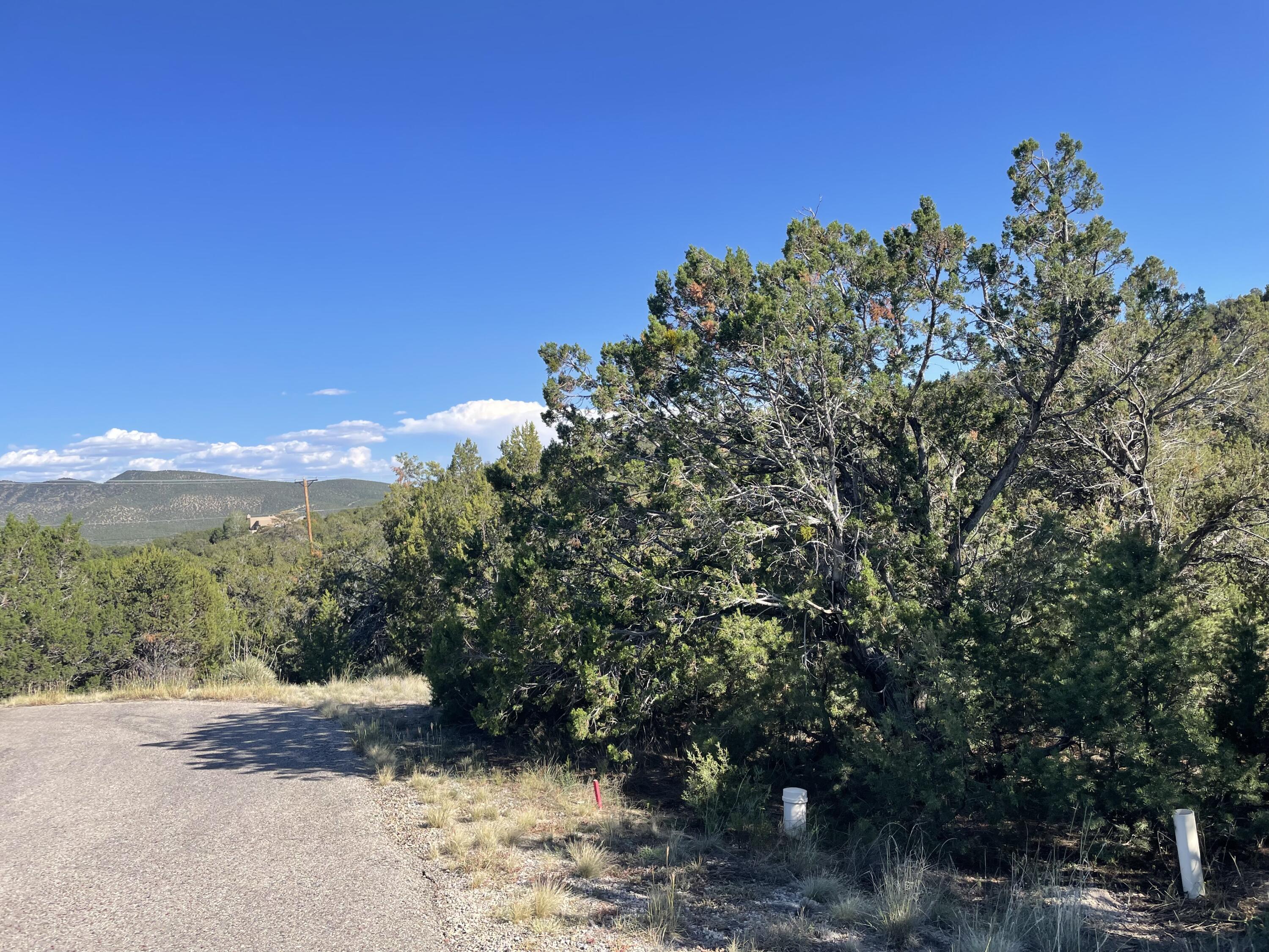 Homes for sale in Sandia Park, NM | 55 Canyon Ridge Dr, Sandia Park, NM 87047 | MLS# 1001164
