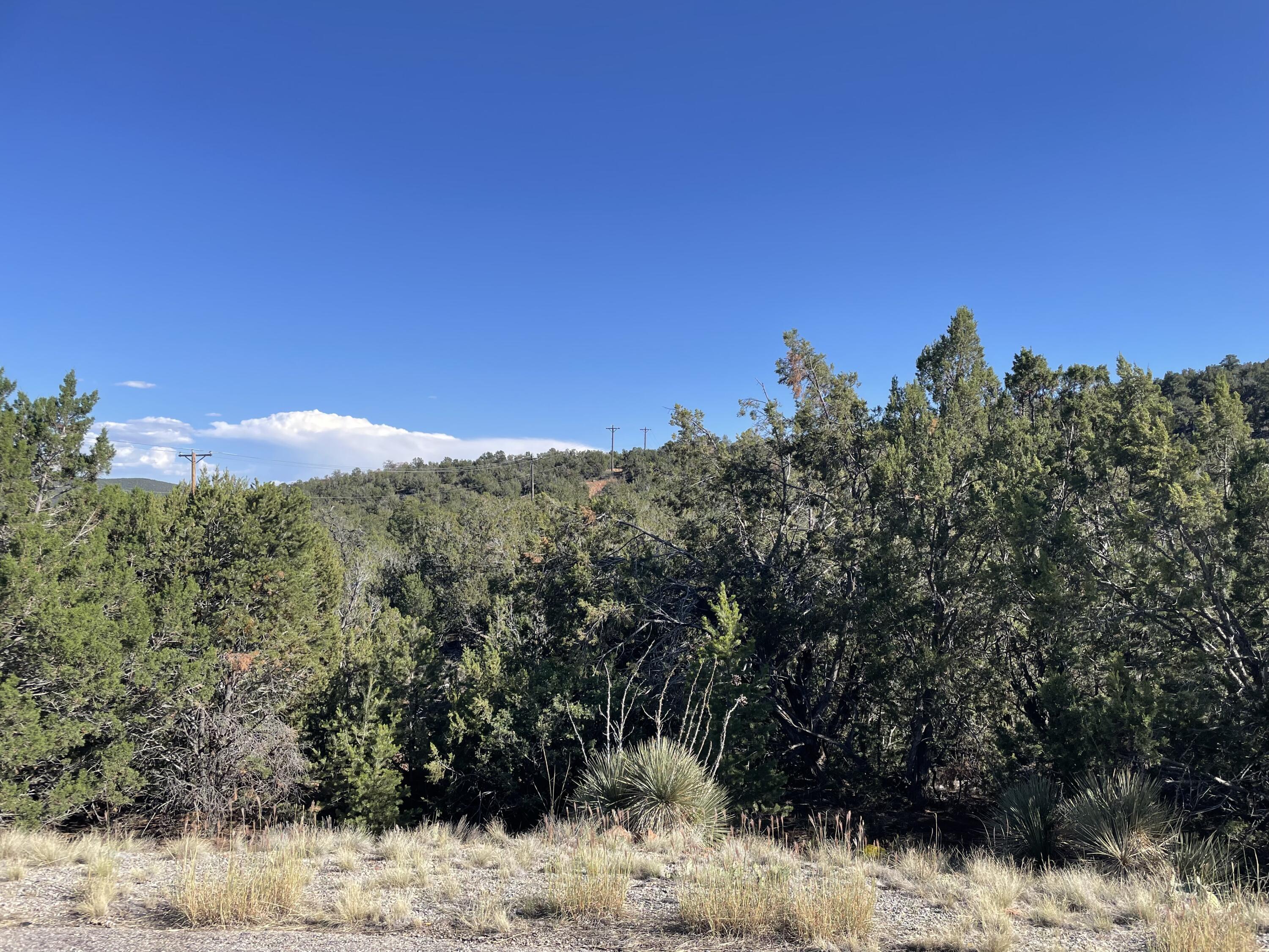 Photo 3 of Land for sale at 55 Canyon Ridge Dr, Sandia Park, NM 87047 | MLS# 1001164 | Listing updated on 2026-10-14