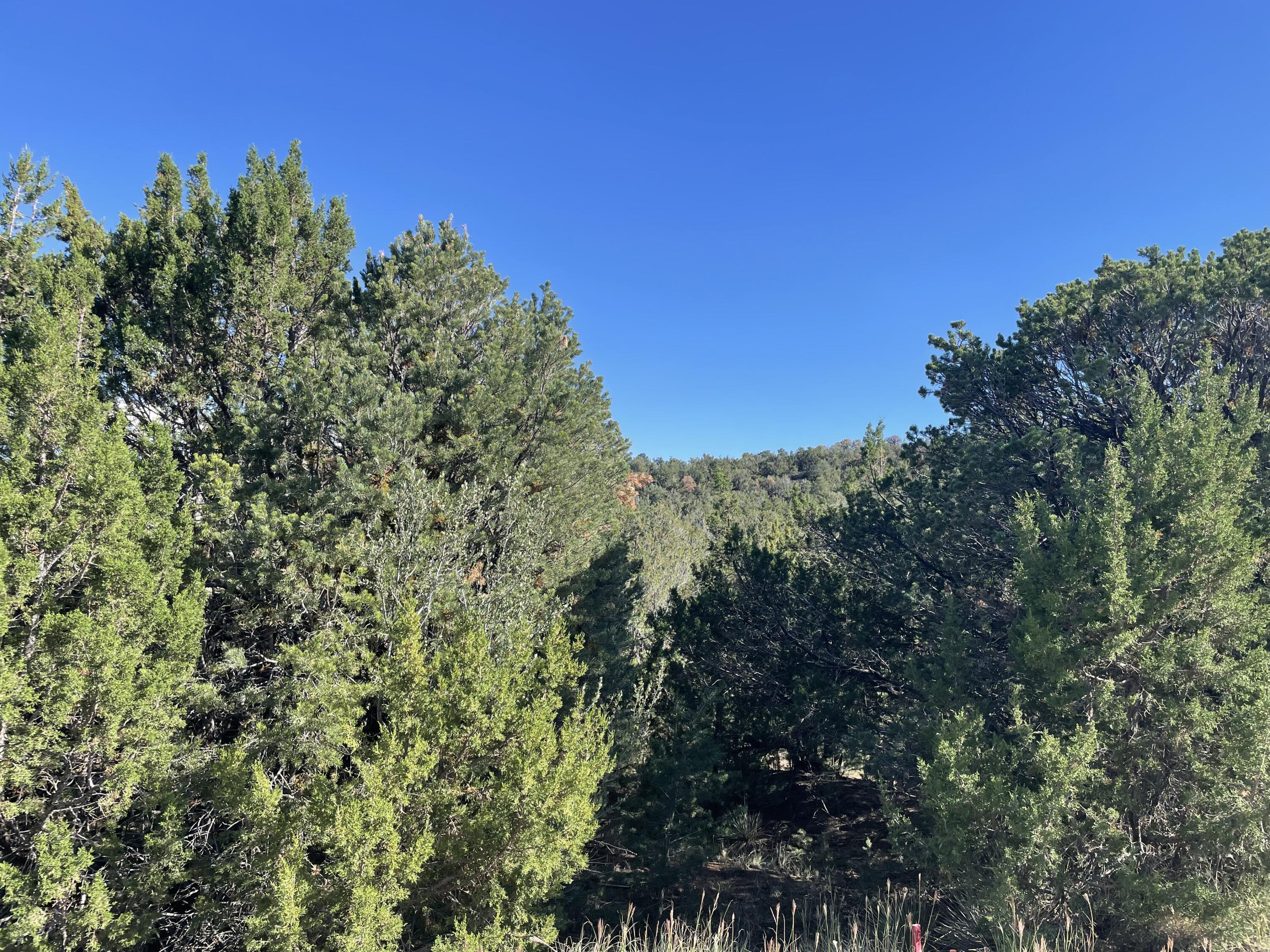 Homes for sale in Sandia Park, NM | 55 Canyon Ridge Dr, Sandia Park, NM 87047 | MLS# 1001164